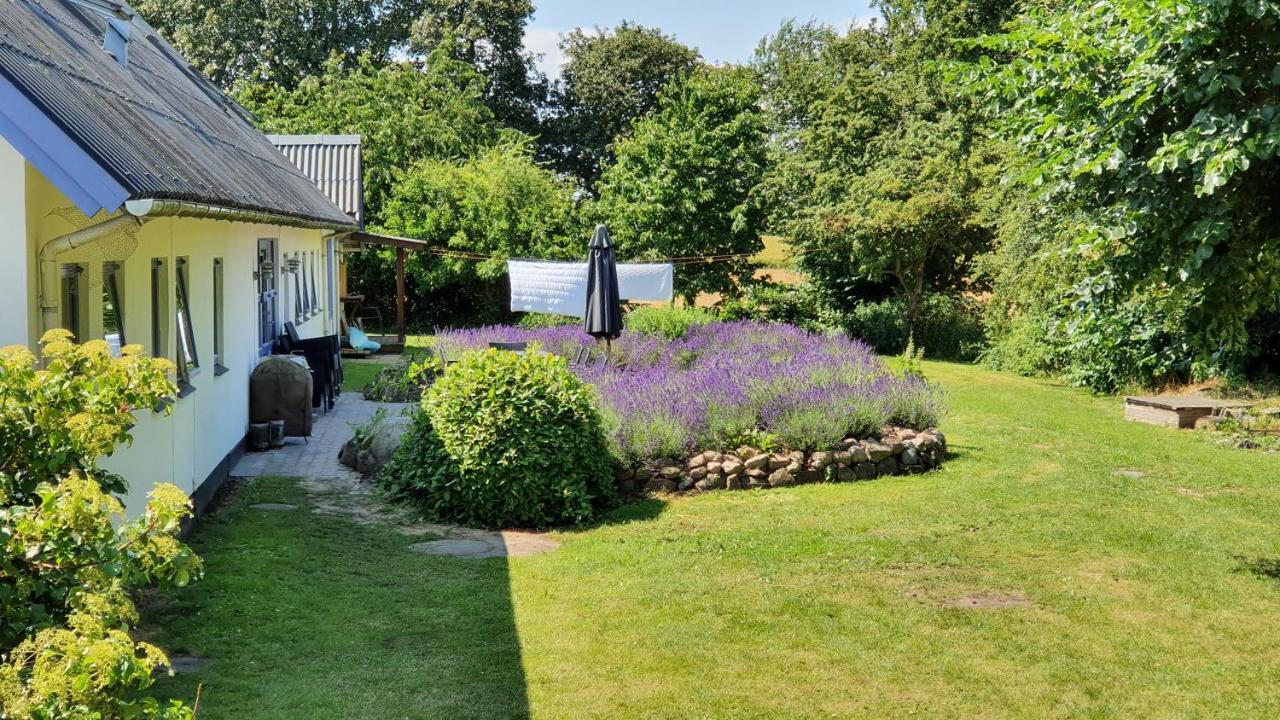 Rolsø Retreat Villa Knebel Exterior foto