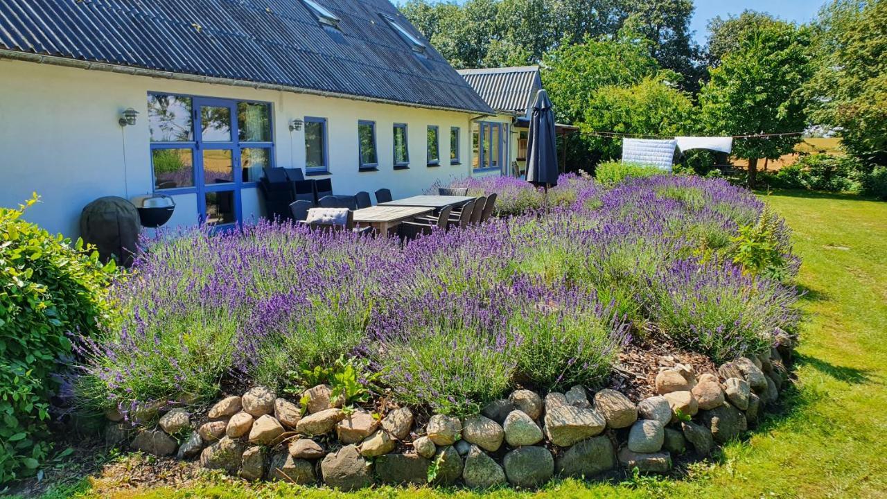 Rolsø Retreat Villa Knebel Exterior foto